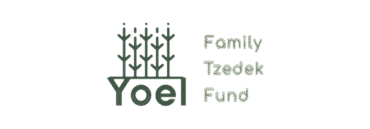 מיזם חדש (33)